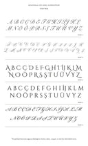 BEYAZ RENK MAVİ BİYELİ ŞAL YAKA DANTELLİ YARASA KOL KİMONO