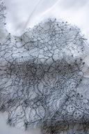 BEYAZ FRANSIZ DANTELLİ BLUZ